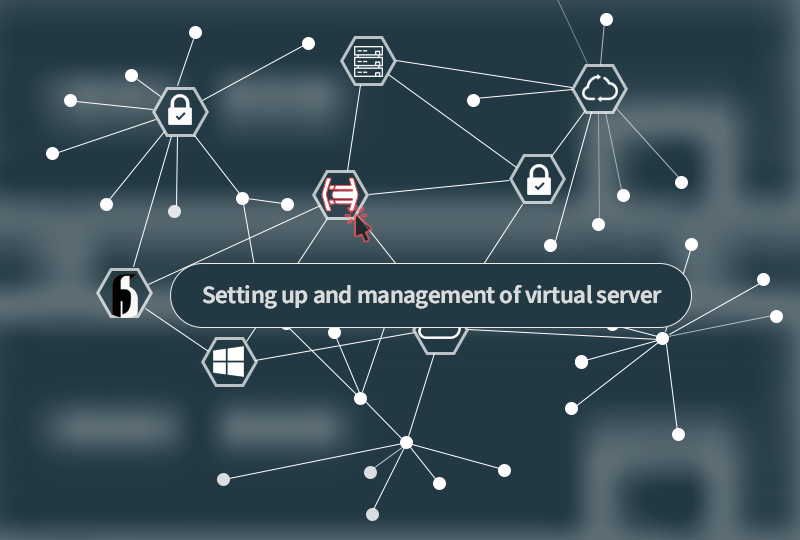 Do you know how you should set up your virtual server?