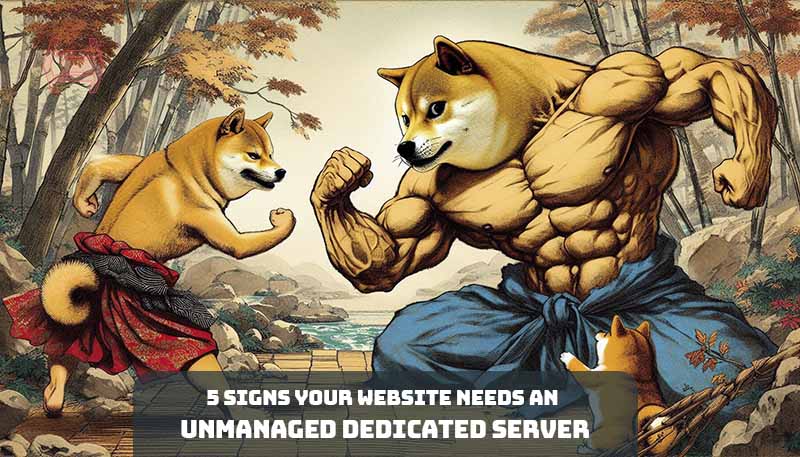 Outgrowing Shared Hosting? Unleash the Power of an Unmanaged Dedicated Server!