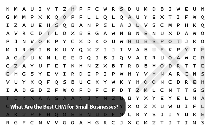 Can you find the "best CRM" amidst the business jargon? This puzzle symbolizes the challenge of selecting the right CRM for your small business.